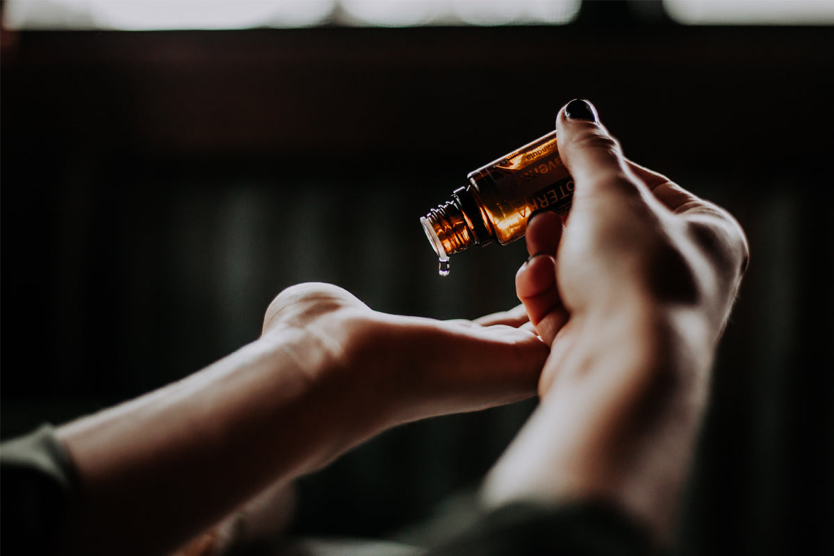 CBD Oil and What it Can Offer