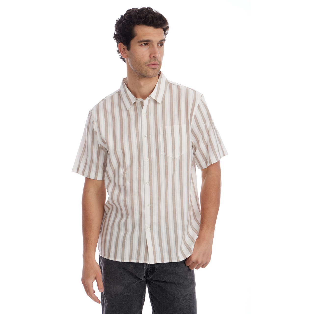 cearet シーレットShort Length Jacquard Shirt Carl Vertical Striped Jacquard Shirt - PX Clothing