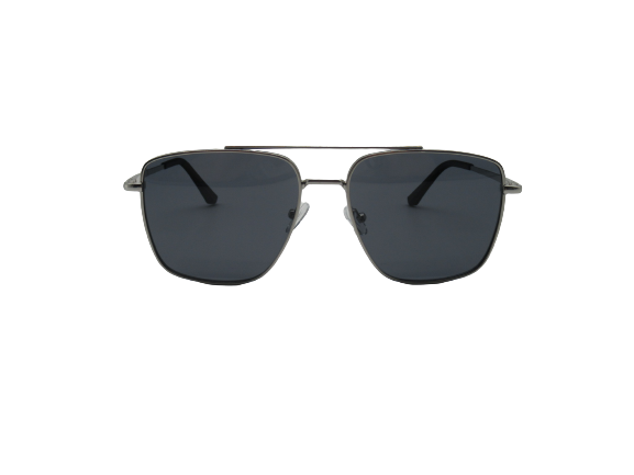 Emile Polarized Sunglasses Silver